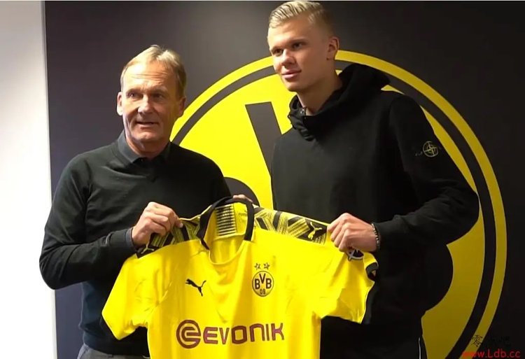 消耗体系 消耗体系